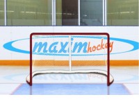 Имитатор - хоккейные ворота Т-770 - магазин СпортДоставка. Спортивные товары интернет магазин в Пензе 